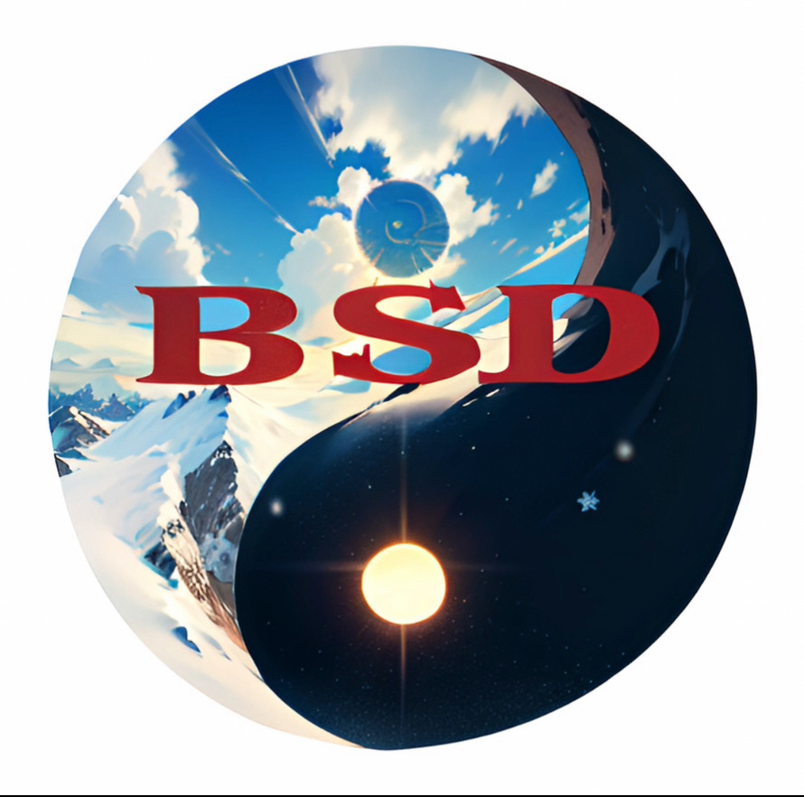 Boston Self Defense Training Logo yin yang.