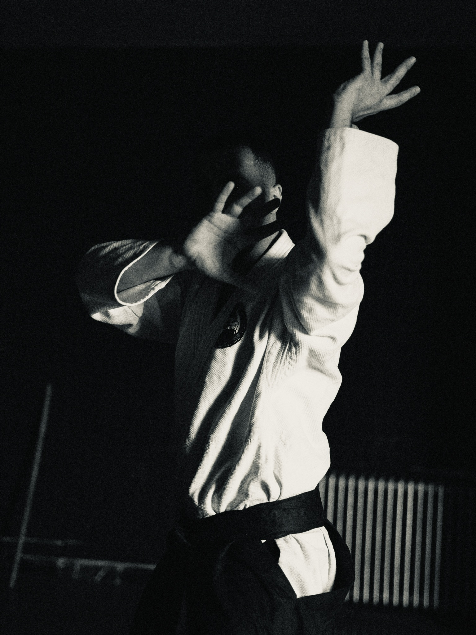 Jujitsu image in black and white.